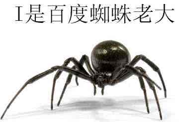 合肥網(wǎng)站優(yōu)化教程:基于搜索引擎友好的網(wǎng)站結構優(yōu)化