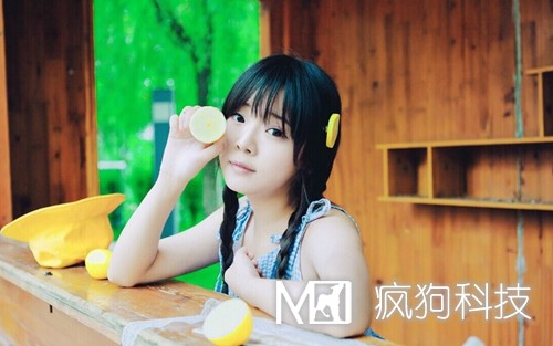 SEO與SEM如何作抉擇？