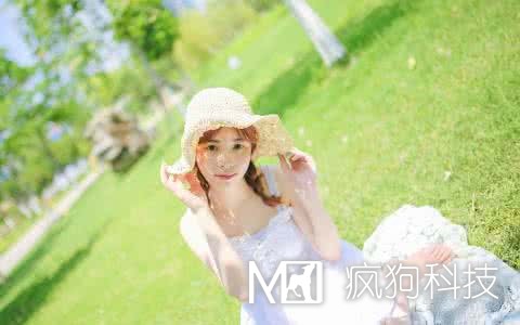 網(wǎng)站SEO優(yōu)化中應該查看哪些數據？