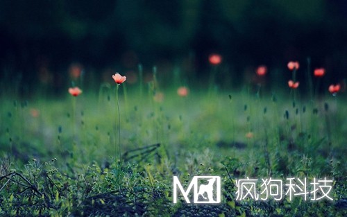 如何提高網(wǎng)站粘度，增加網(wǎng)站回頭客？