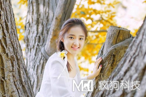 網(wǎng)站優(yōu)化中的死鏈是如何產(chǎn)生的？