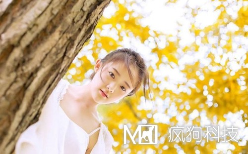 收藏：快速頁(yè)面收錄的六大絕技！